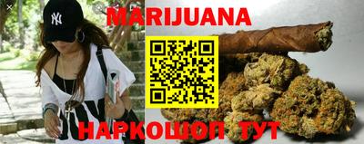 дживик Бийск