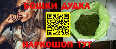дживик Бийск
