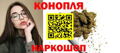 дживик Бийск