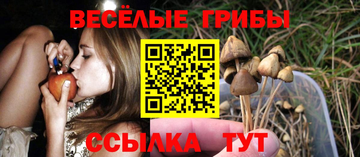 Галлюциногенные грибы MAGIC MUSHROOMS  Вход с VPN  Балабаново  Псилоцибиновые грибы мухоморы 