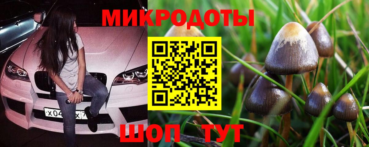 Галлюциногенные грибы GOLDEN TEACHER  Вход с VPN  Балабаново 
