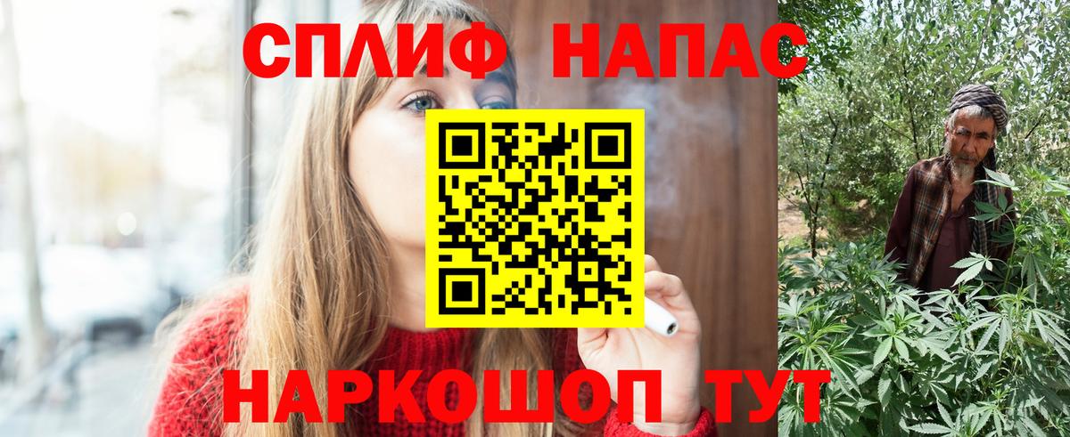 Бошки Шишки план Балабаново
